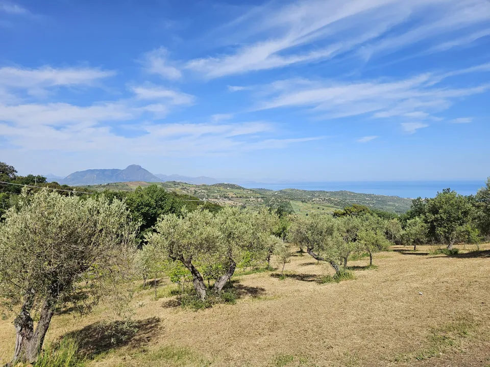 Terra a Collesano, Palermo - foto 4